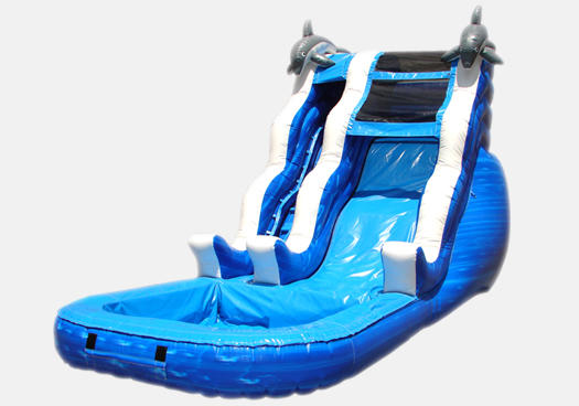 Dolphin Rush Wave Water Slide Rental Chicago IL